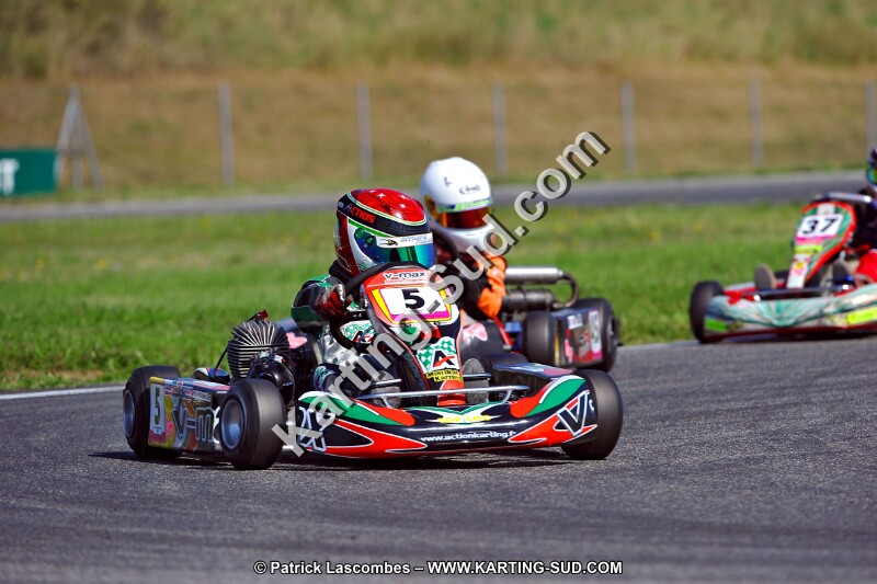 DSC_ (1286).jpg